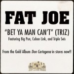 Fat Joe - Bet Ya Man Can't (Triz)