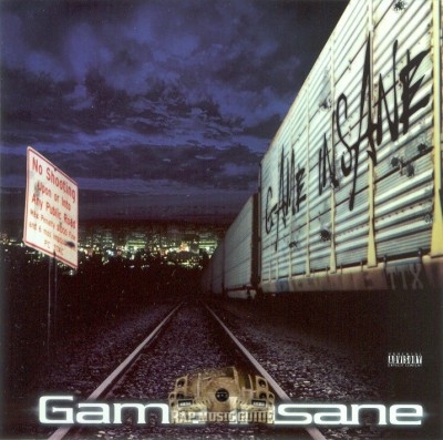 Game Insane - Game Insane